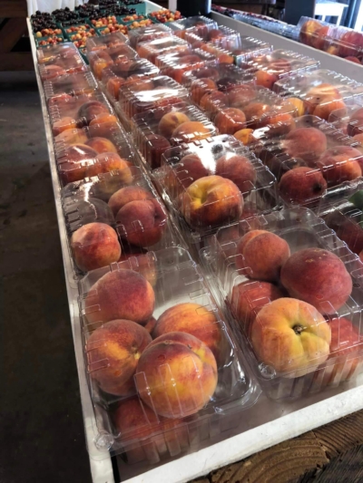 peaches at The Farmstand Roseburg